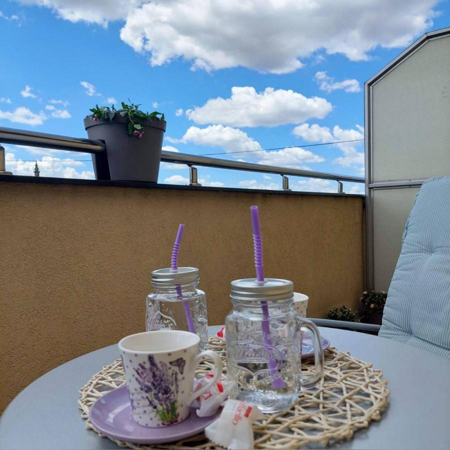 Apartament Soul Stan Na Dan Nowy Sad Zewnętrze zdjęcie