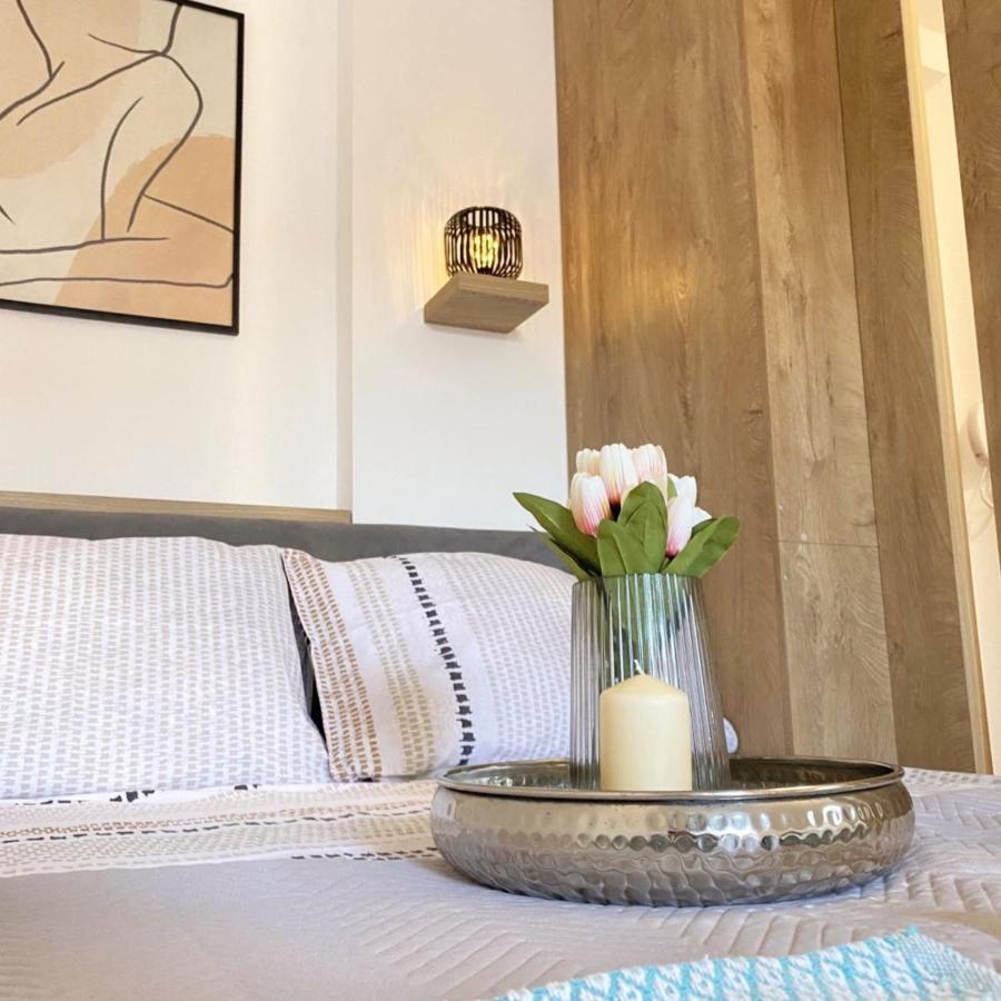 Apartament Soul Stan Na Dan Nowy Sad Zewnętrze zdjęcie