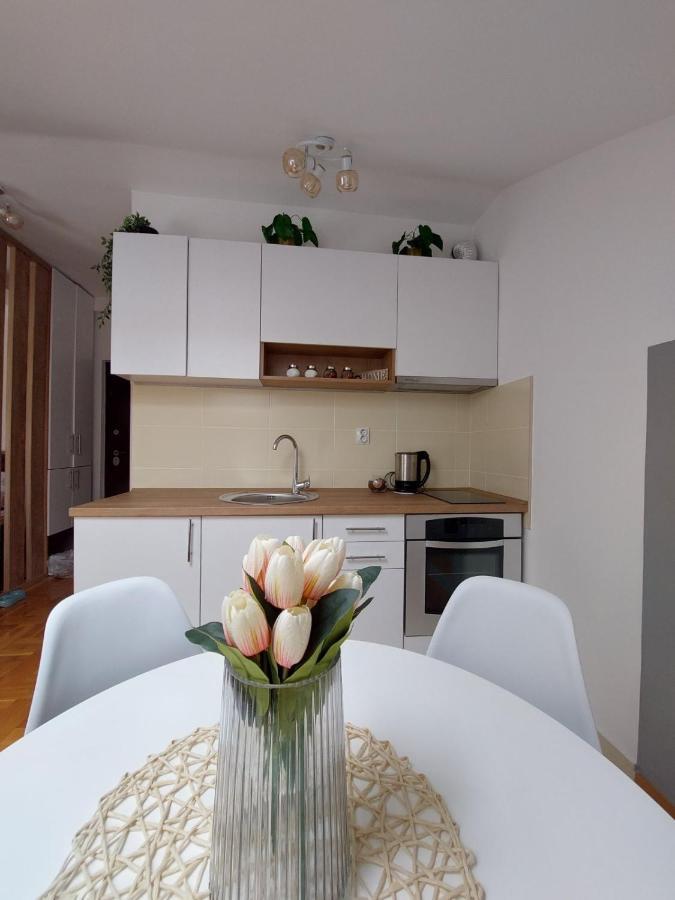 Apartament Soul Stan Na Dan Nowy Sad Zewnętrze zdjęcie