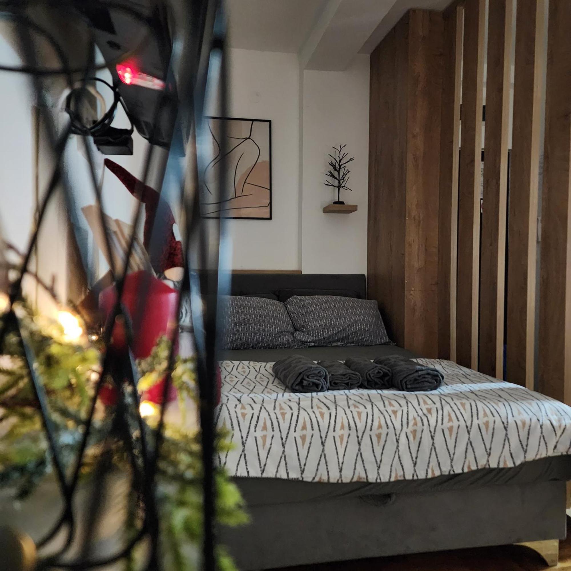 Apartament Soul Stan Na Dan Nowy Sad Zewnętrze zdjęcie